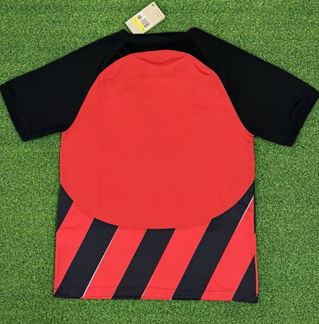 FRANKFURT 2023/2024 DOM