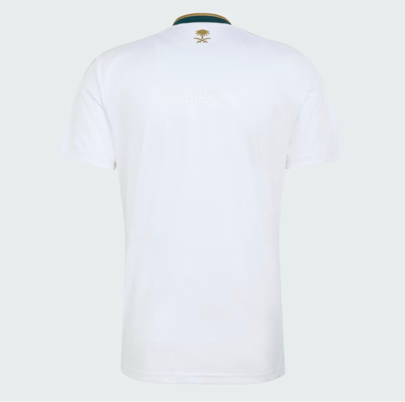SAUDI ARABIA WC 2026 EXT