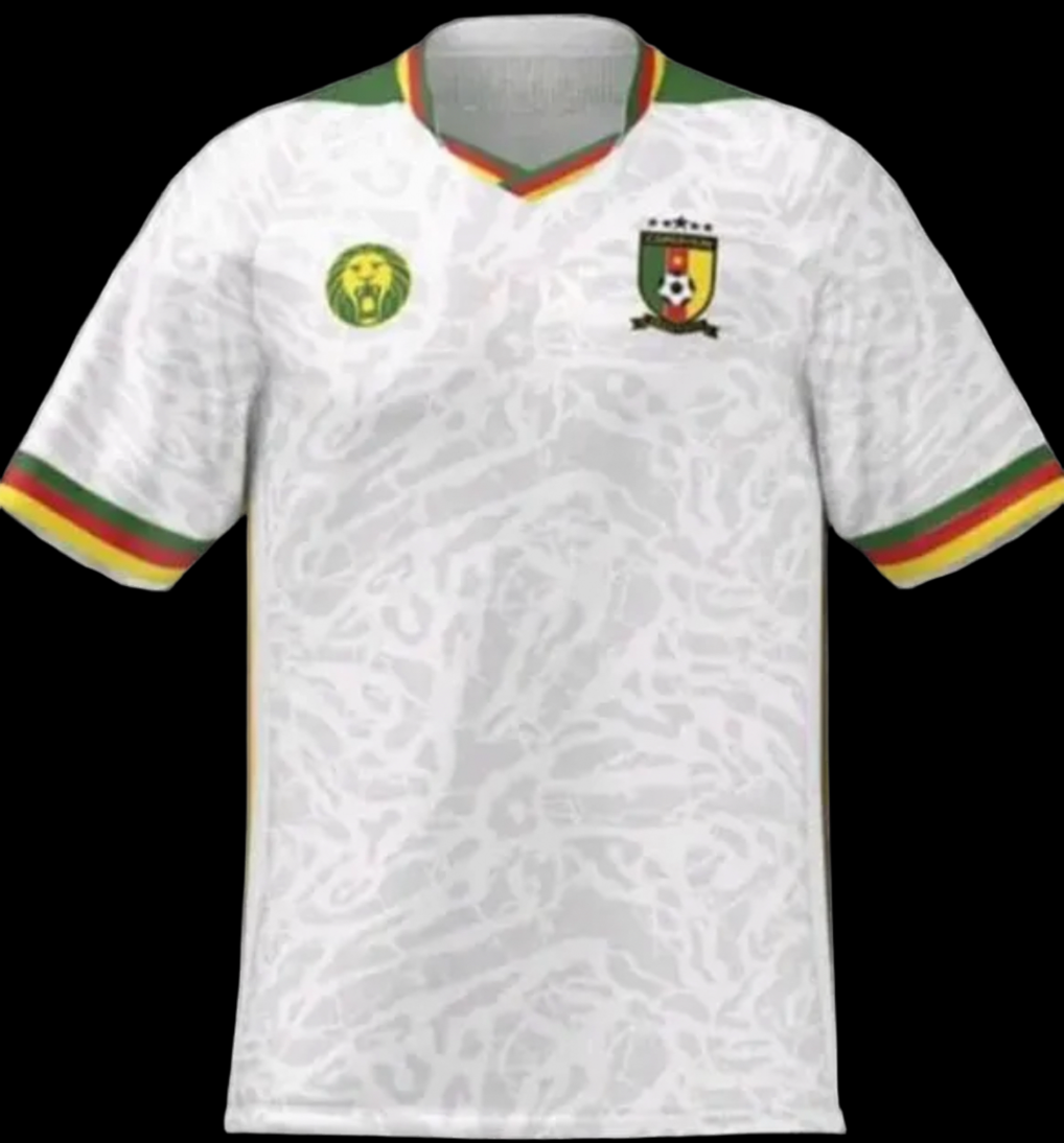 CAMEROON EXT