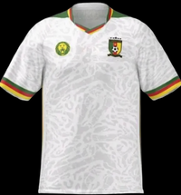 CAMEROON EXT