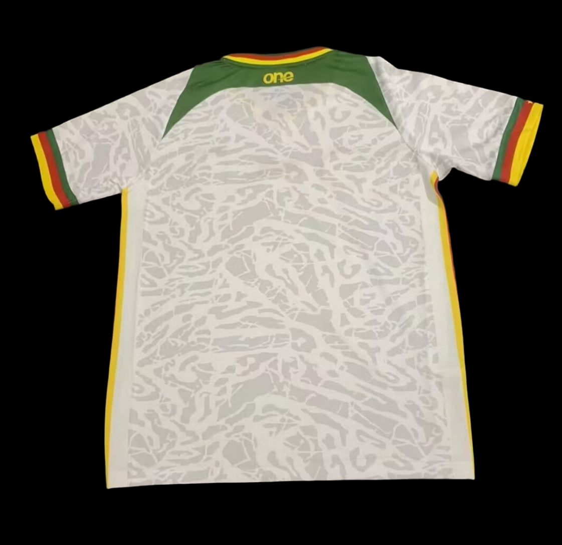 CAMEROON EXT
