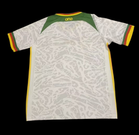 CAMEROON EXT