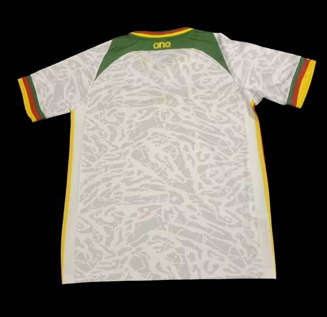 CAMEROON EXT