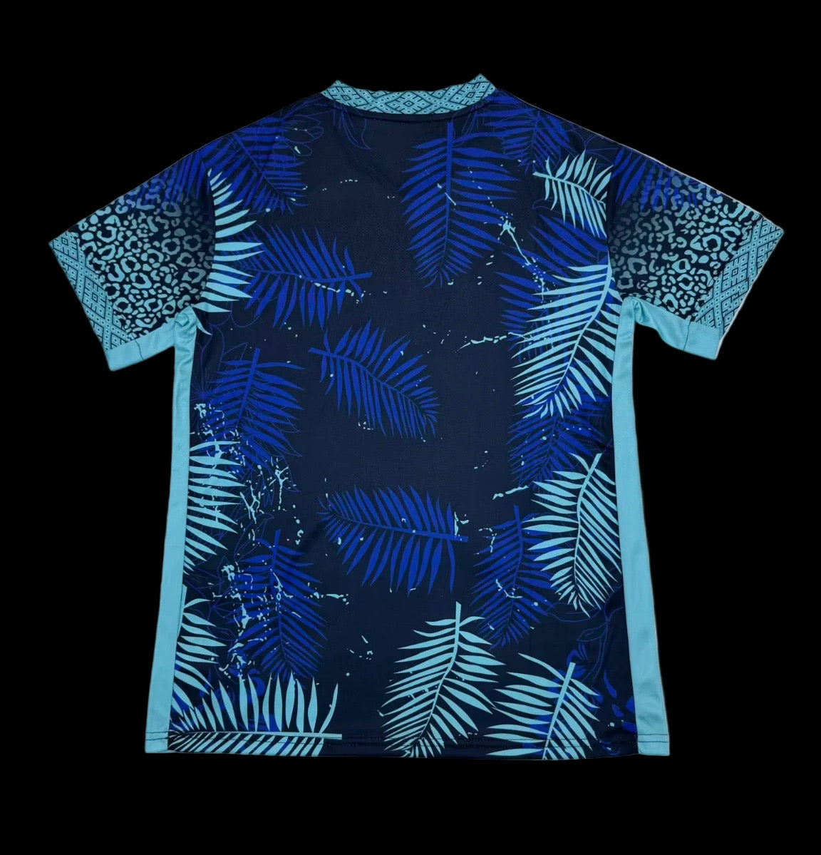 BRÉSIL 25/26 CONCEPT FÉLIN