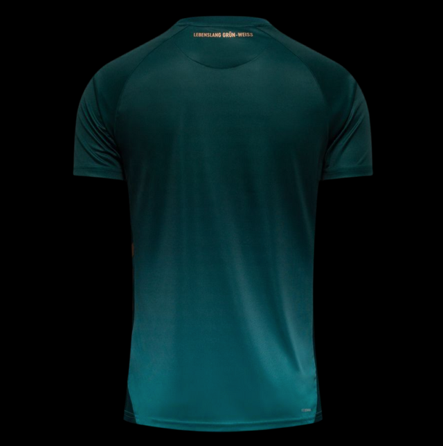 WERDER BREMEN 2025/2026 THIRD
