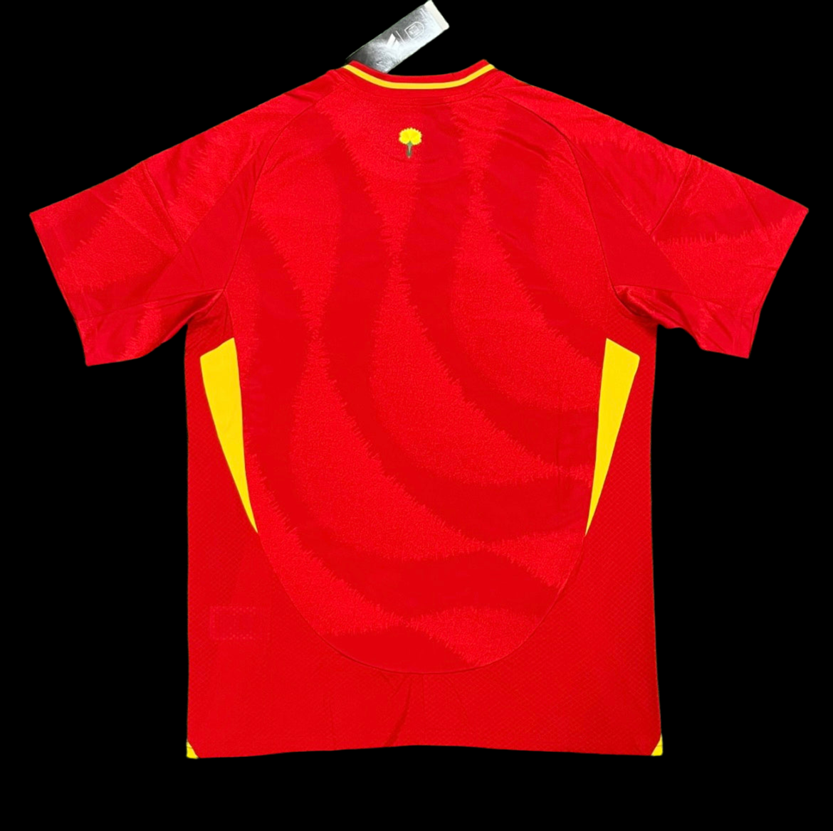 SPAIN 2024 DOM
