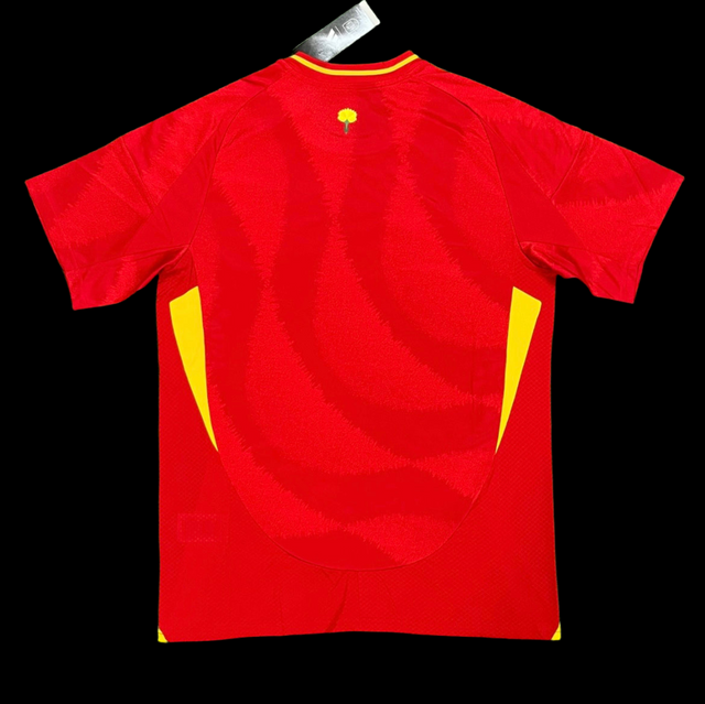 SPAIN 2024 DOM