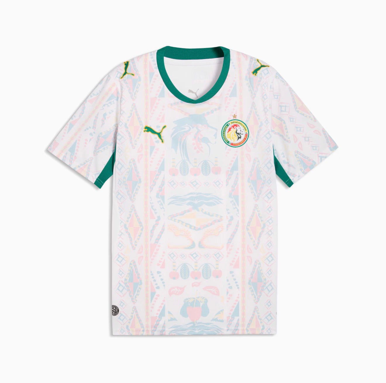 SENEGAL CDM 2026 EXT