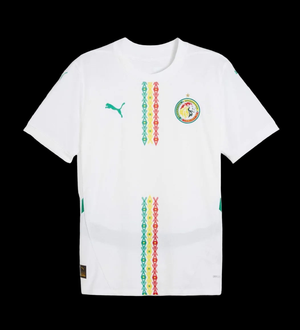 SENEGAL 25/26 EXT