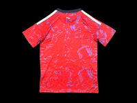 COSTA RICA 25/26 DOM